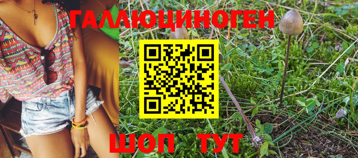 цены наркотик  Вход с VPN  Сергиев Посад  Галлюциногенные грибы Magic Shrooms  Галлюциногенные грибы прущие грибы 