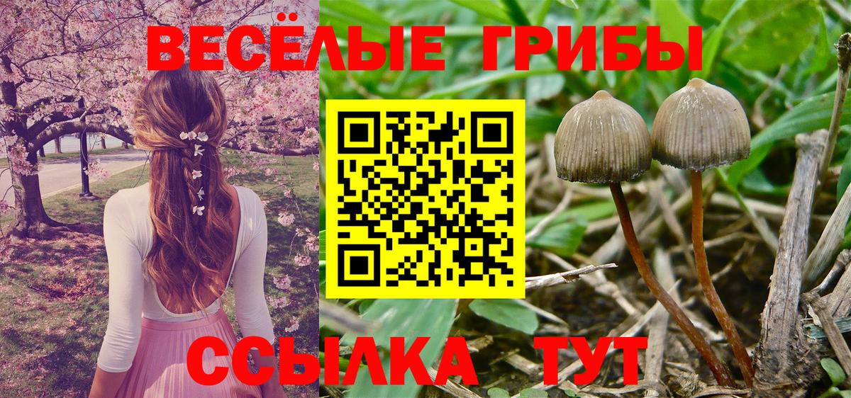 Псилоцибиновые грибы мухоморы Сергиев Посад